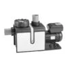 Speck Filterpumpe BADU Profi Eco VS, 230 V -Meyer Poolwelt 0980 578 00 Pumpe 01